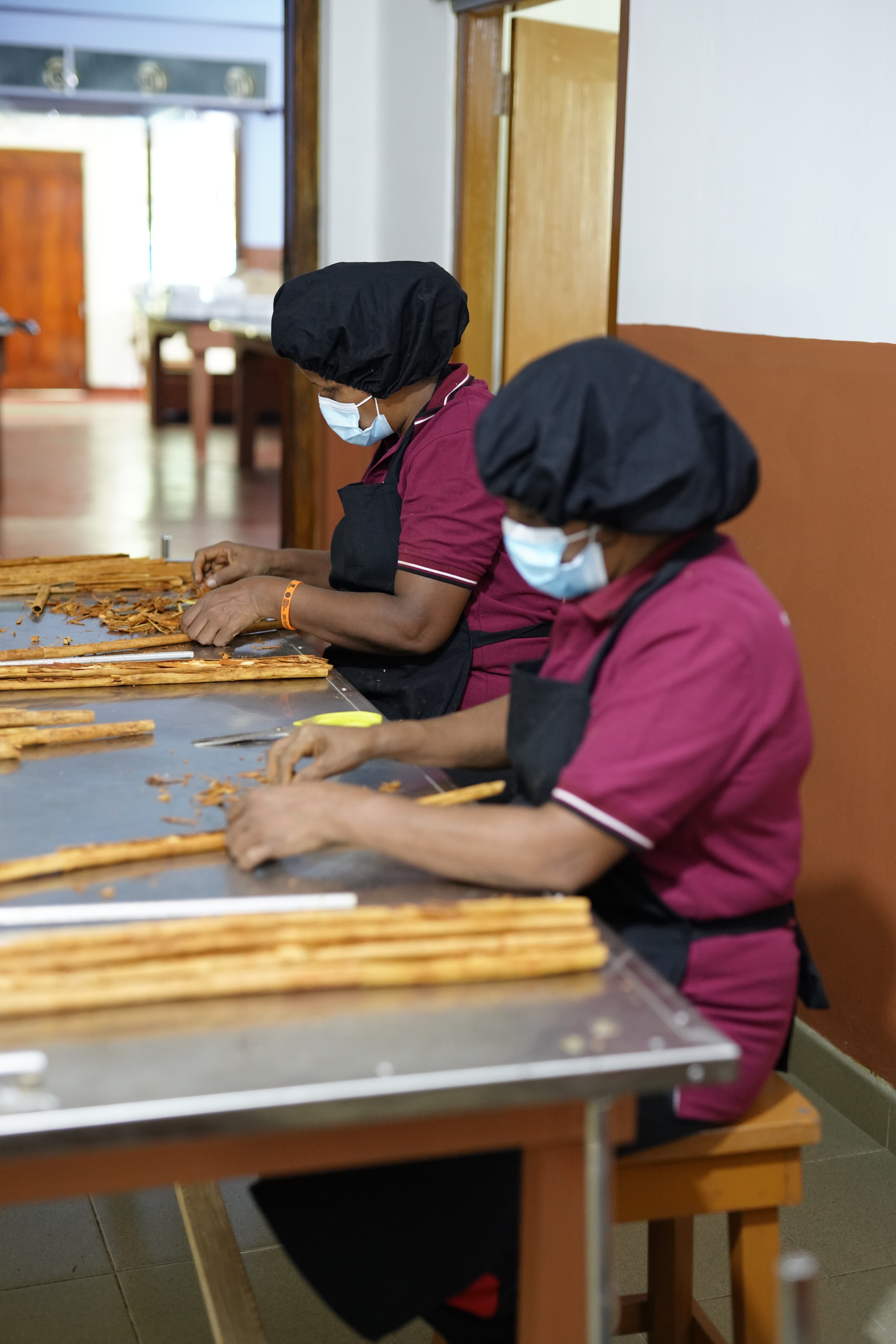 Two workers wearing protective caps and masks prepare cinnamon at a metal workbench.