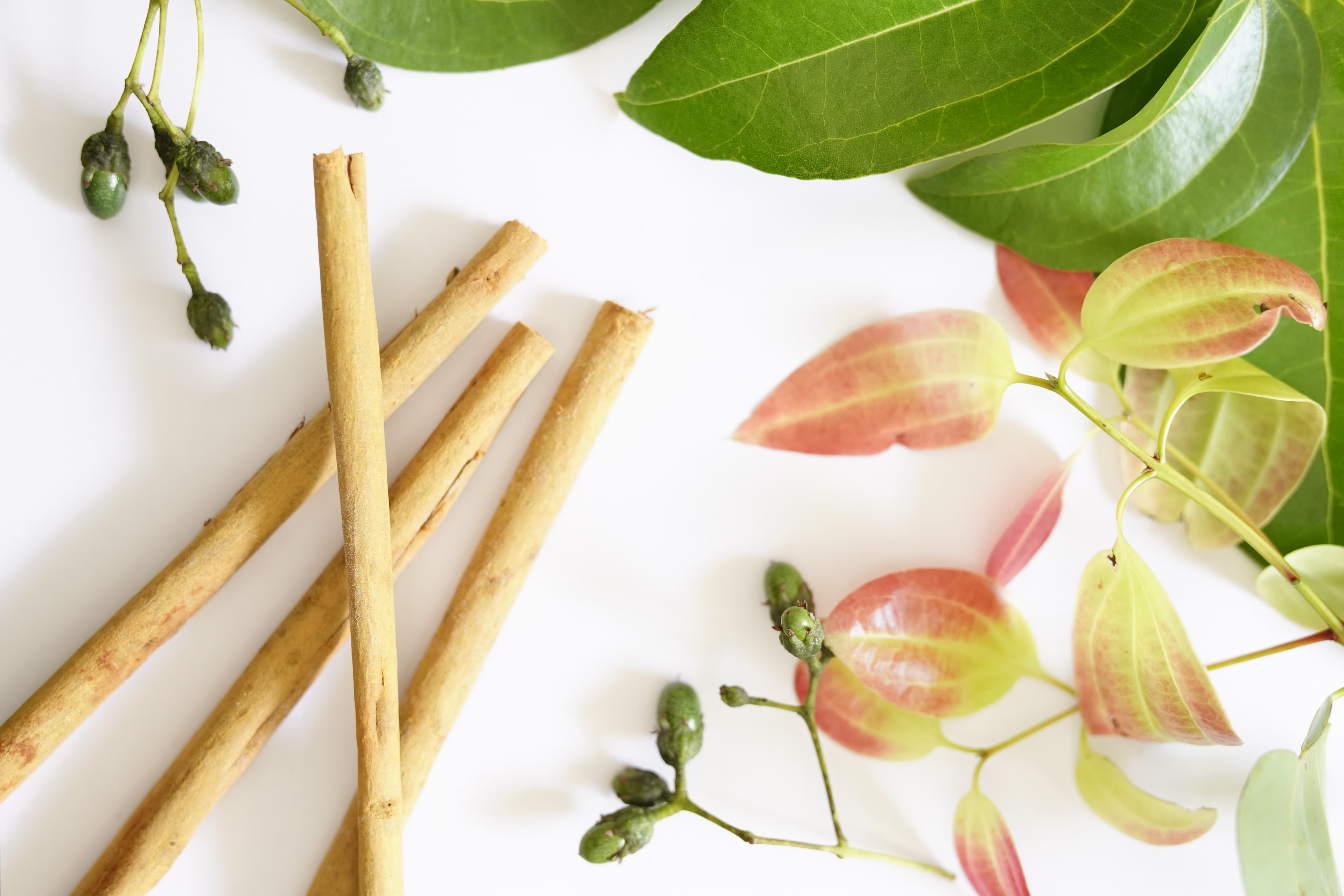 Cinnamon quills arranged with fresh green and reddish leaves on a pale surface.