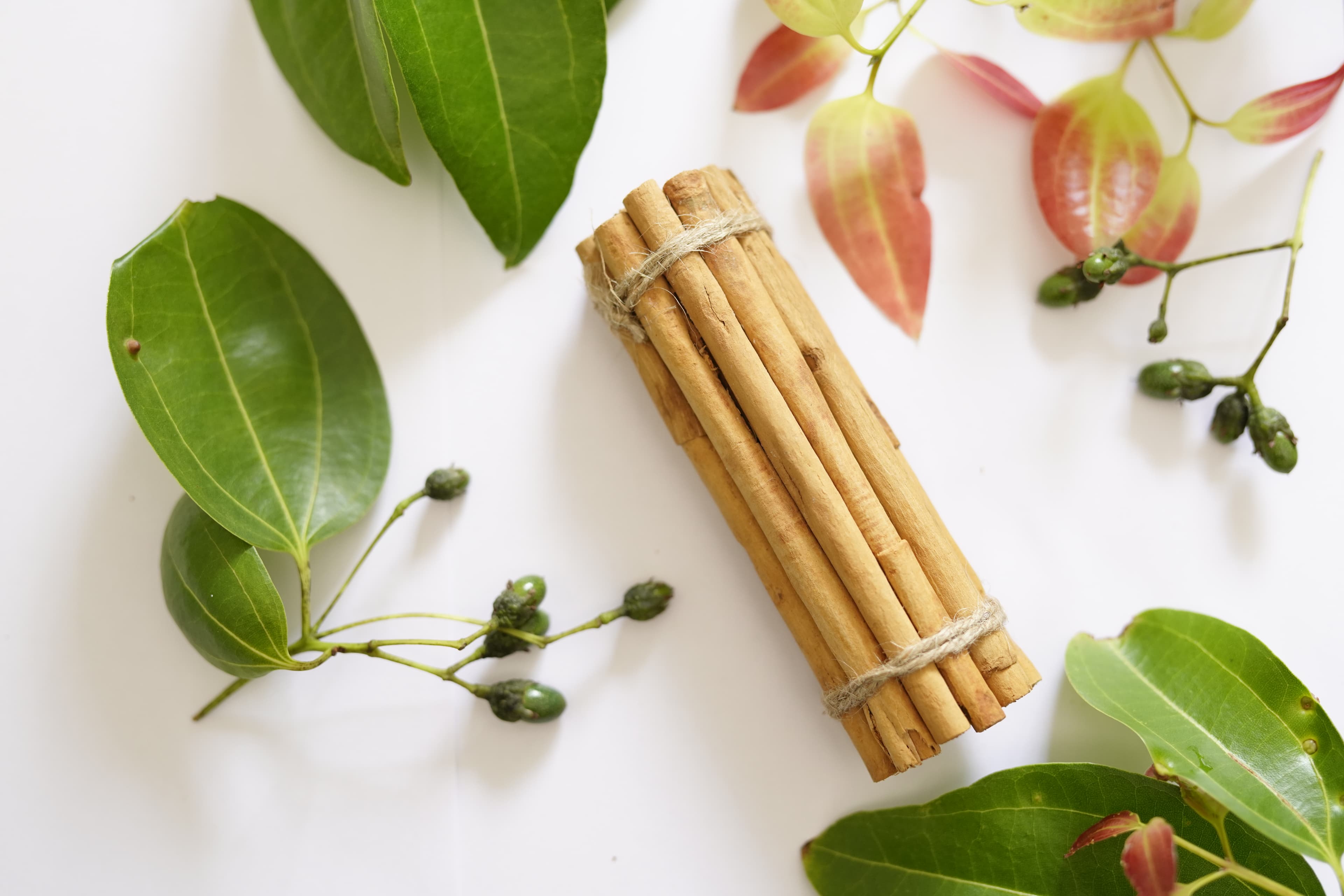 A tied bundle of cinnamon quills surrounded by fresh leaves and small green berries.
