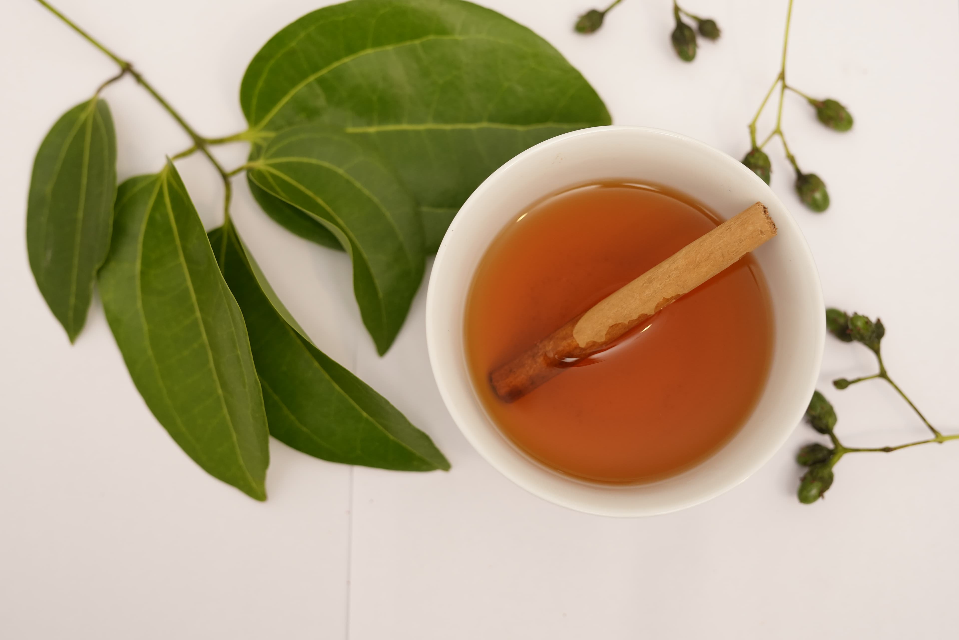 A cup of amber tea with a cinnamon quill, surrounded by fresh leaves.