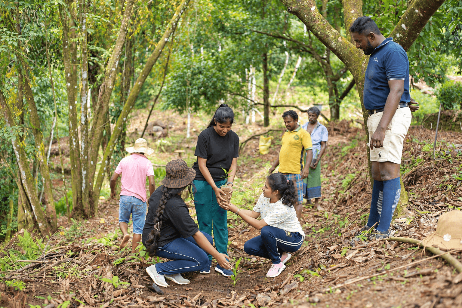 Enhanced photograph of the Knuckles Valley team planting a sapling together