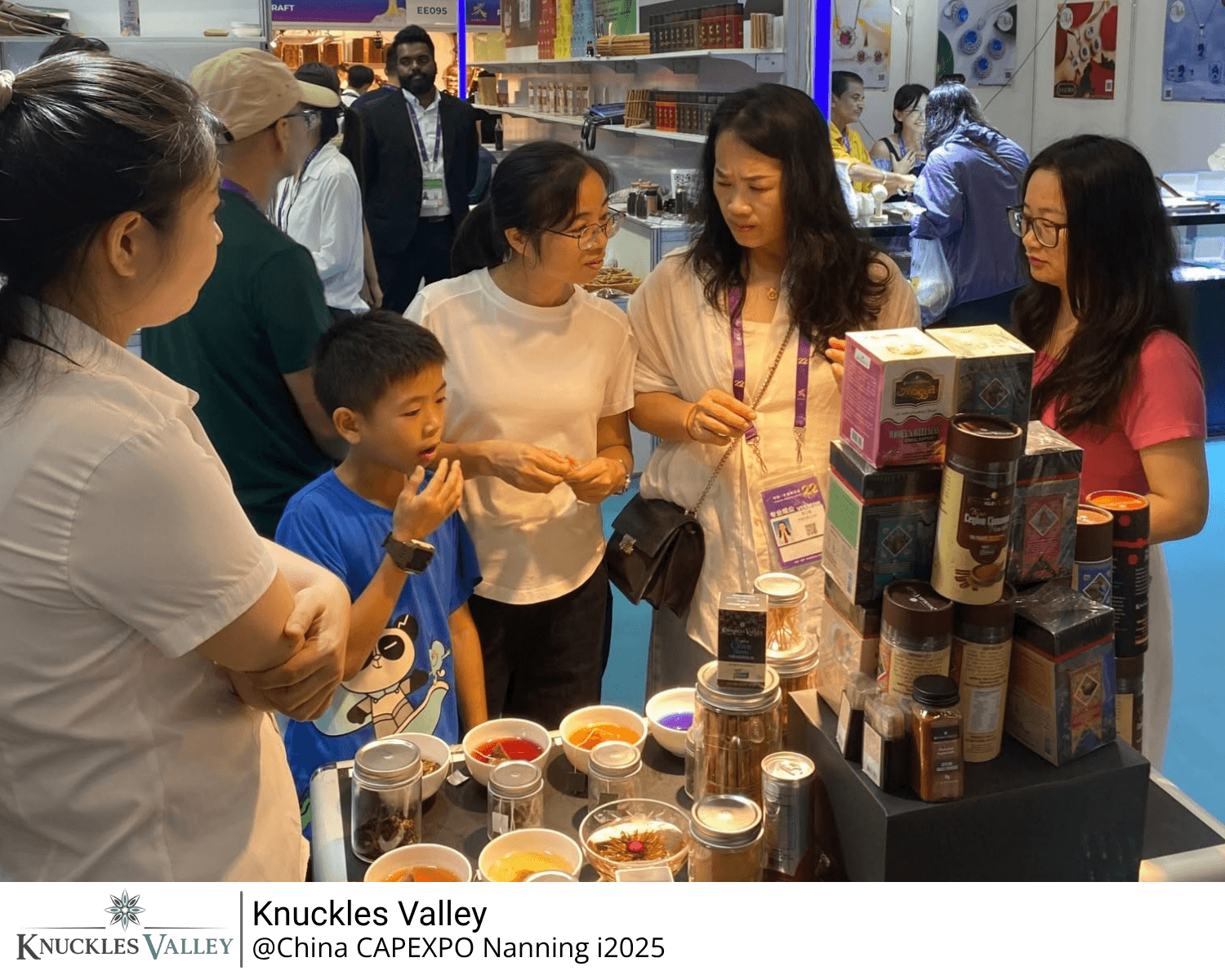 Visitors, including a child, explore the Knuckles Valley display with a representative at the Nanning exhibition.