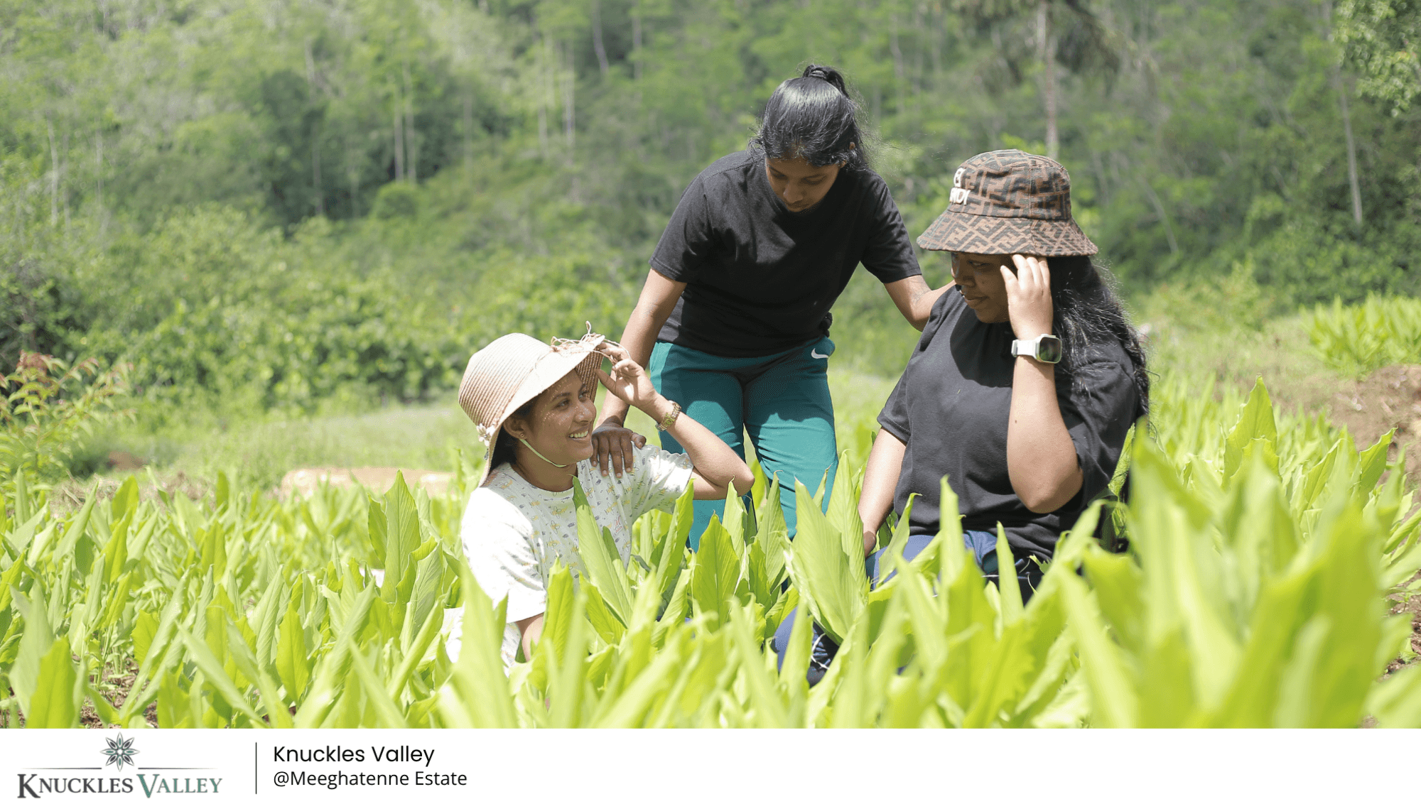 Three visitors among young plants at Knuckles Valley, with wooded hills behind them