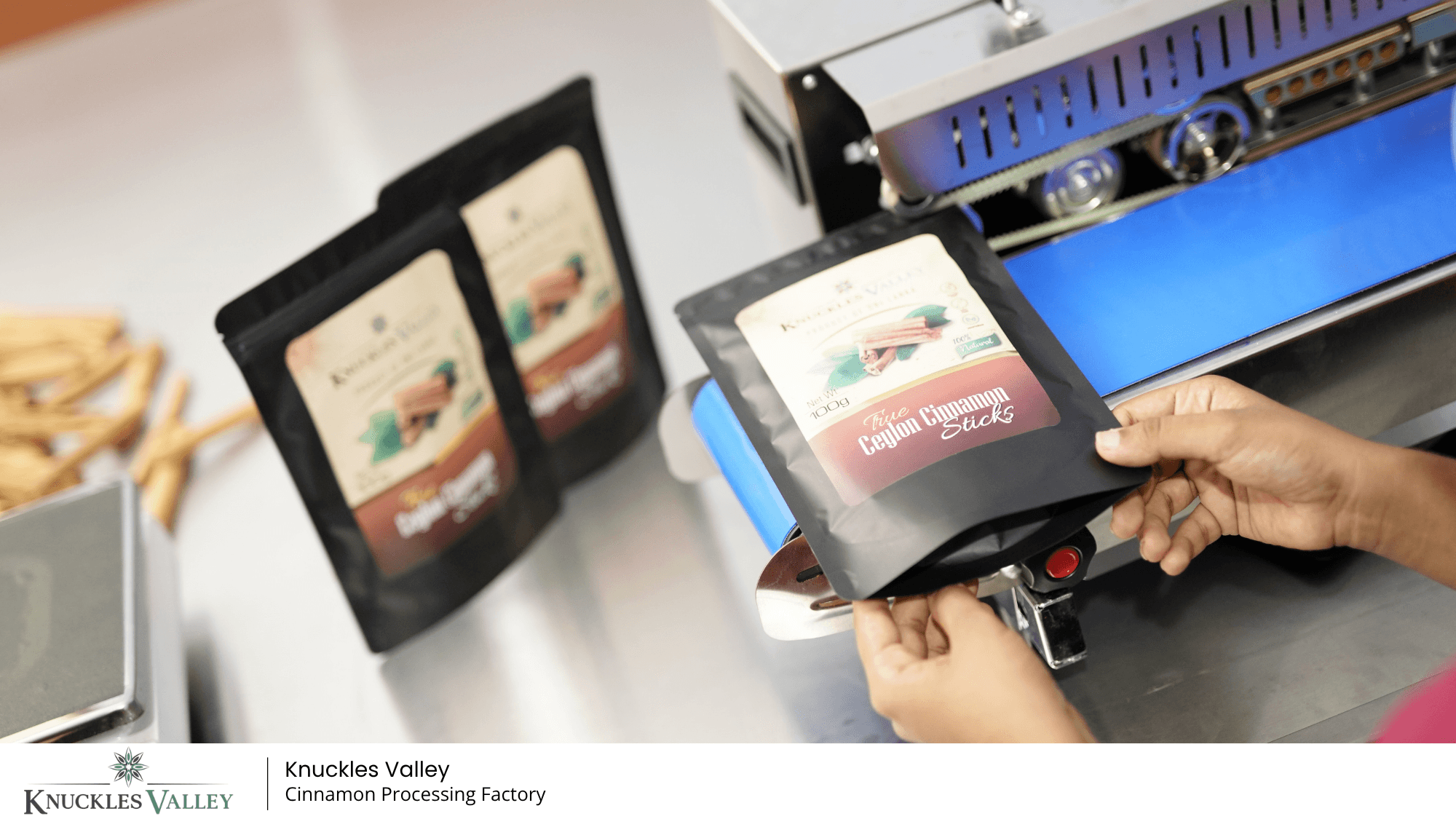 A Knuckles Valley team member carefully packing cinnamon, with the supplied company watermark