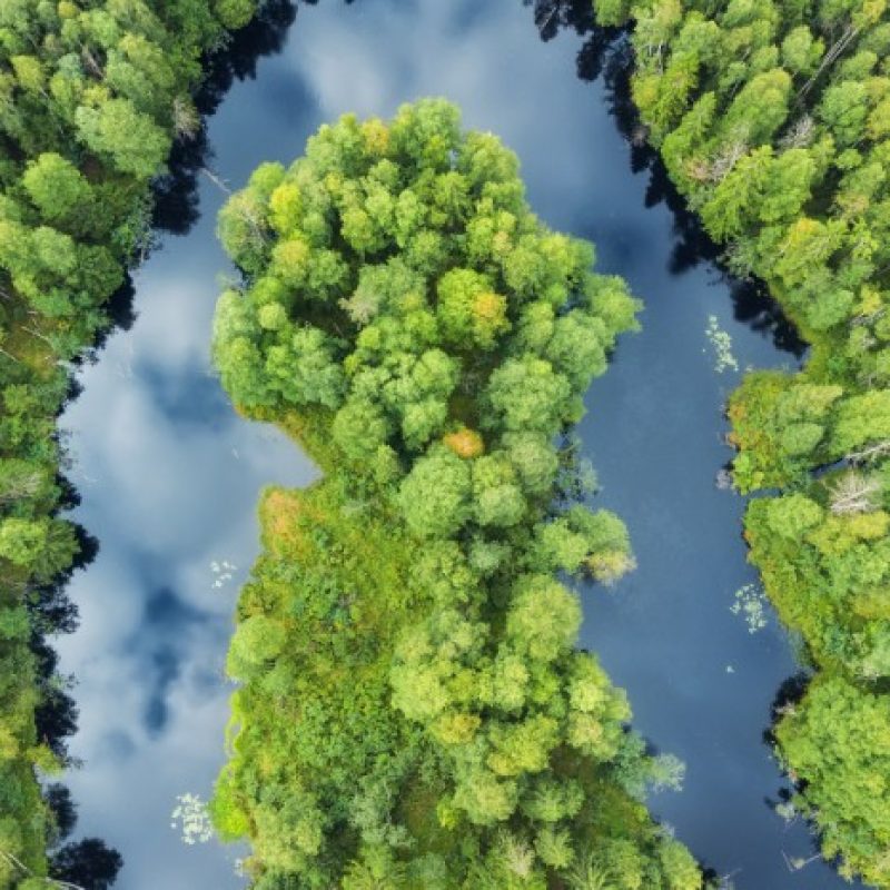aerial-view-on-the-forest-and-river-landscape-fro-2025-03-09-13-35-34-utc-Small.jpg