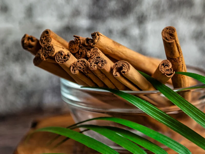 cinnamon-sticks-in-glass-plate-with-palm-leaf-on-w-2023-12-21-22-25-52-utc-1-copy.webp